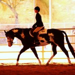 Briar&Bingo