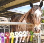 Lisa & Jazz Ribbons